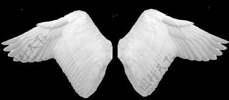 白色天使翅膀png元素素材