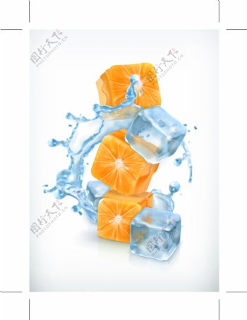 橙子与冰块矢量素材