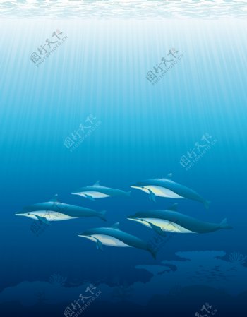 矢量卡通海底鱼群背景素材