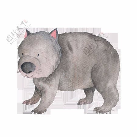 手绘灰色树熊透明动物素材