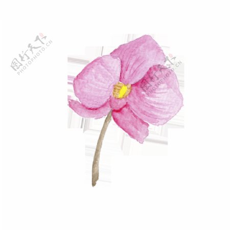 粉色手绘花朵时尚巴黎卡通透明素材