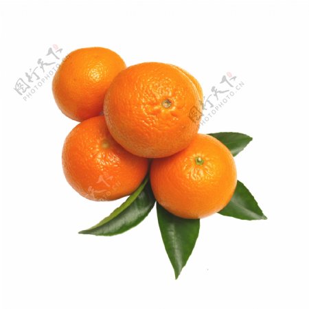 橙子透明水果素材