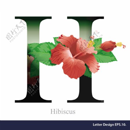 热带花卉大红色英文字母字体设计