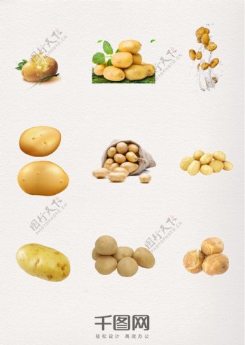 食物实物土豆装饰元素
