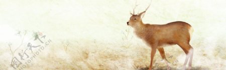 油画麋鹿动物背景