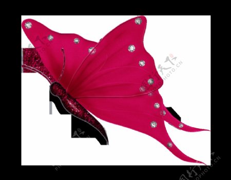 手绘粉红色的蝴蝶免抠png透明素材