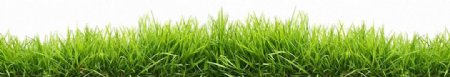 绿色草地装饰边框免抠png透明图层素材