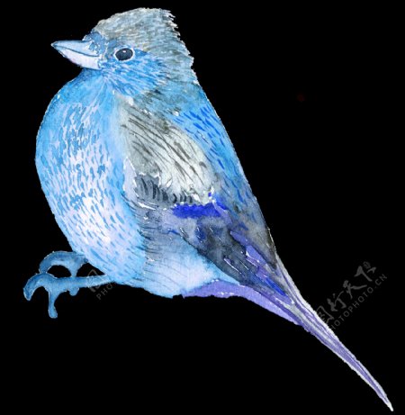蓝色水彩小鸟透明素材