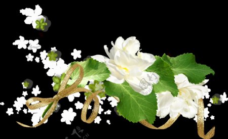 素雅手绘两朵白花花边png透明素材