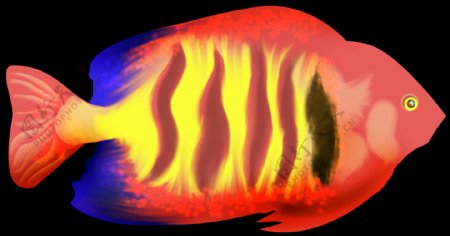 手绘水彩彩色热带鱼png透明素材