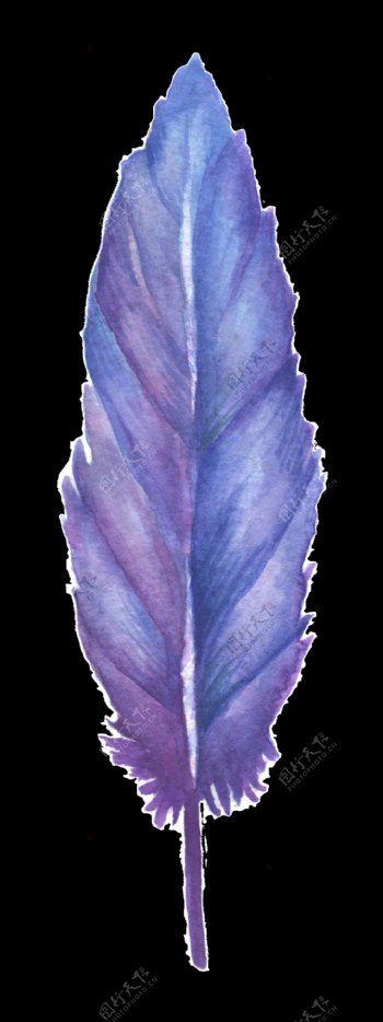 蓝紫羽翼卡通透明素材