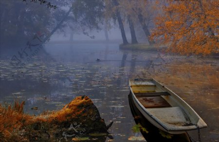 瑞典河流秋季小船雾大自然