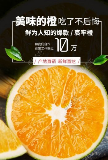 哀牢橙水果大气海报
