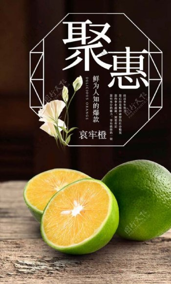 哀牢橙水果中国风海报