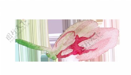 水墨精致花卉卡通透明装饰素材