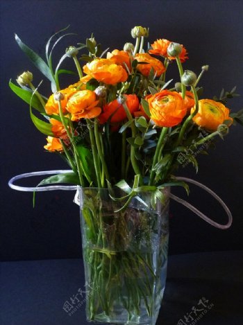 花束毛茛属花瓶橙色花蕾花卉