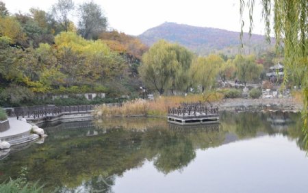 北宫彩叶风景