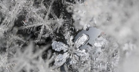 冰天雪地冬天雪景