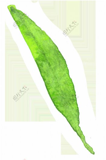 绿色柳叶水彩透明素材
