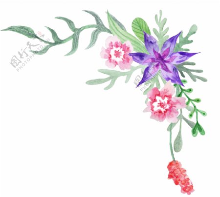 边框植物花卉卡通透明素材