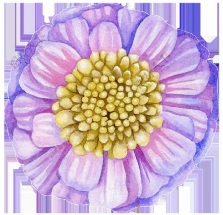 梦幻紫色花卉卡通透明素材