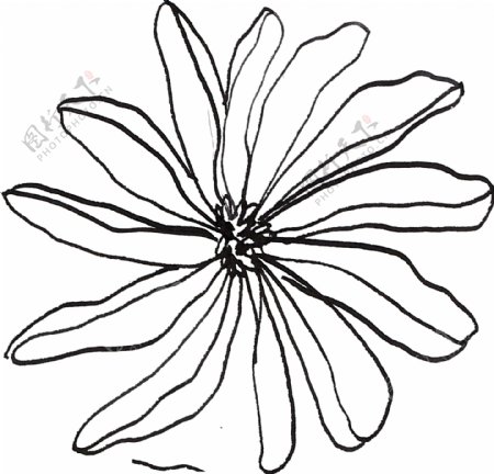 简笔画花卉卡通透明素材