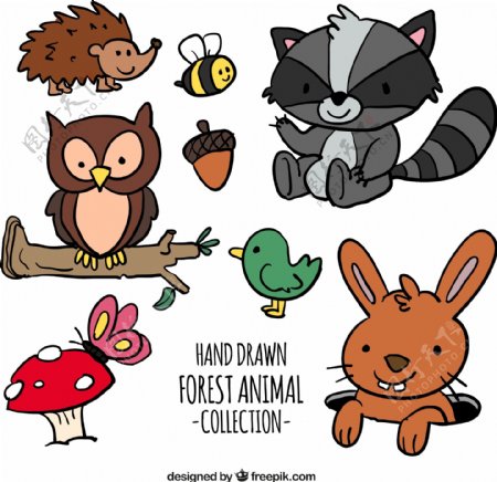 7款彩绘森林动物矢量素材