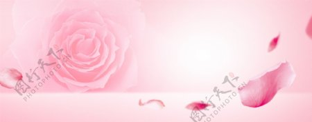 唯美粉色花朵banner背景素材