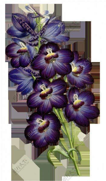 淡紫花粉卡通透明素材