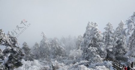 西岭雪山