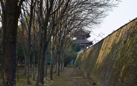 远观建春门