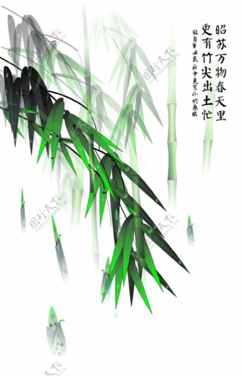 中国风高风亮节雨竹装饰画
