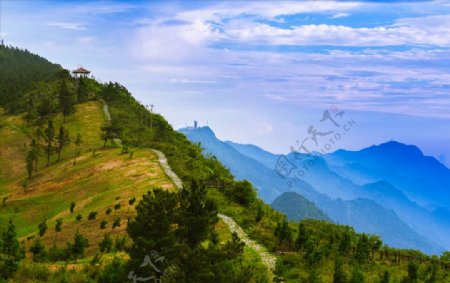 高山草场