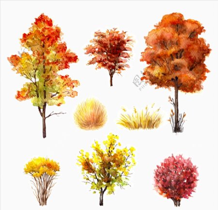 水彩绘秋天的大树