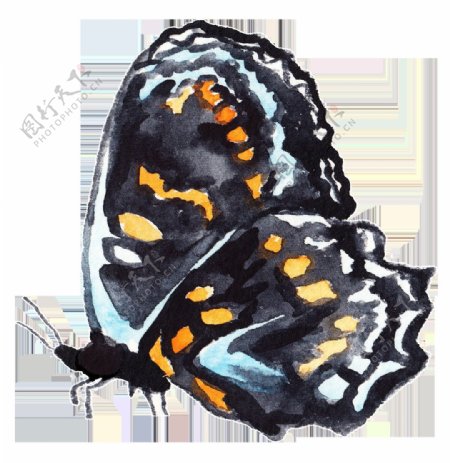 黄斑蝴蝶透明装饰素材