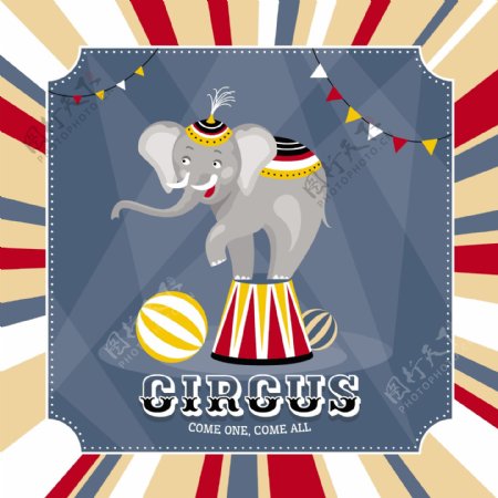 马戏团里的大象插画