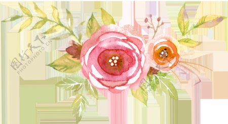 迷人粉色花朵透明装饰素材