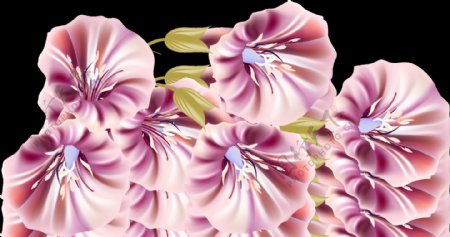 紫色喇叭花透明装饰素材