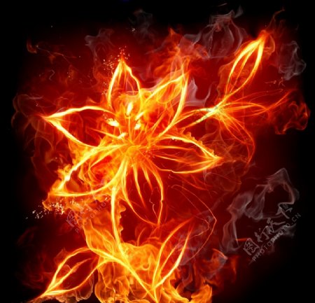 植物花朵火焰特效