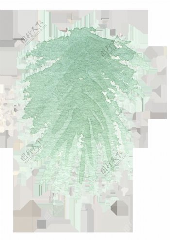 手绘简约松柏树叶水彩透明素材