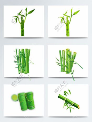 水墨水彩绿色竹子PNG元素