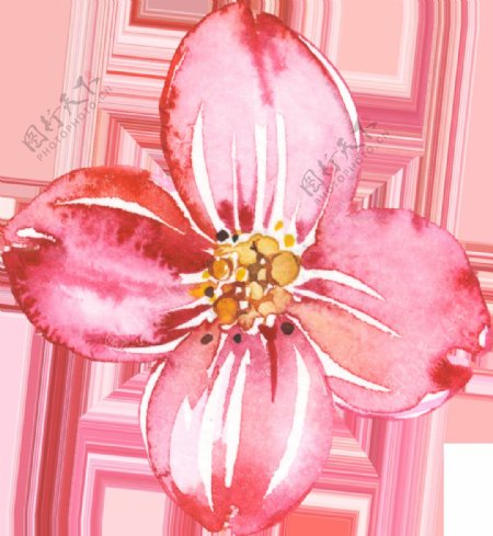 手绘粉色花瓣透明素材合集