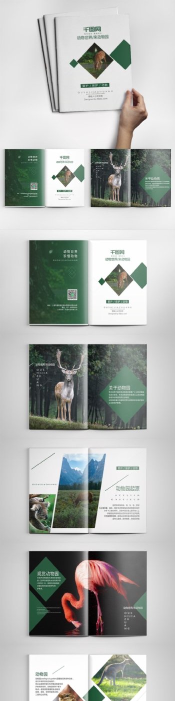 绿色创意野生动物园旅游画册