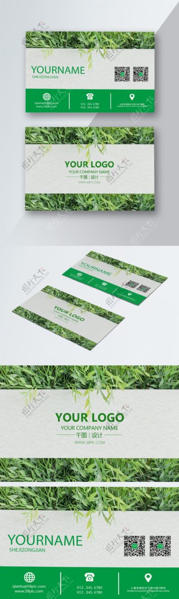 创意绿色简约植物名片设计