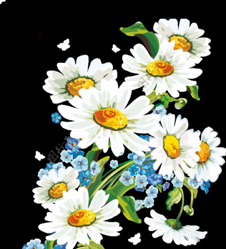 清新白色手绘菊花装饰元素