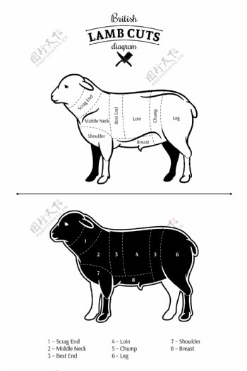 黑白时尚绵羊插画