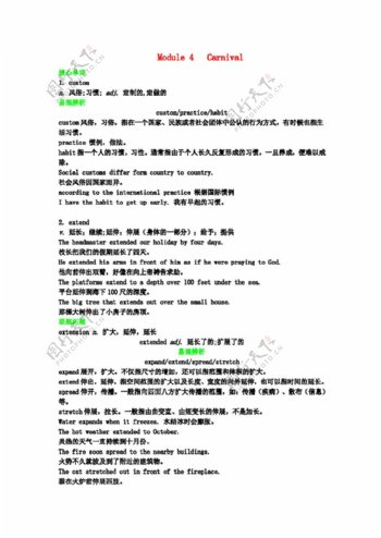 英语外研版高三英语module4carnival学案