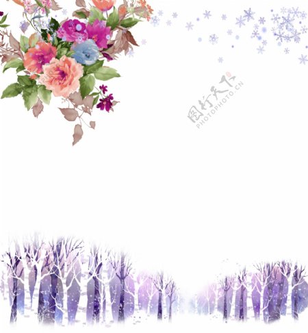 彩色花卉紫色背景系列