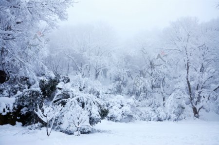 冰雪世界