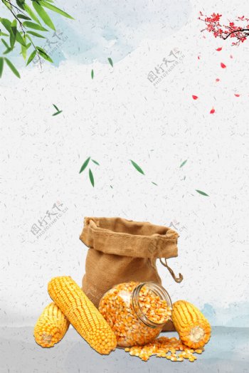 金秋丰收玉米背景